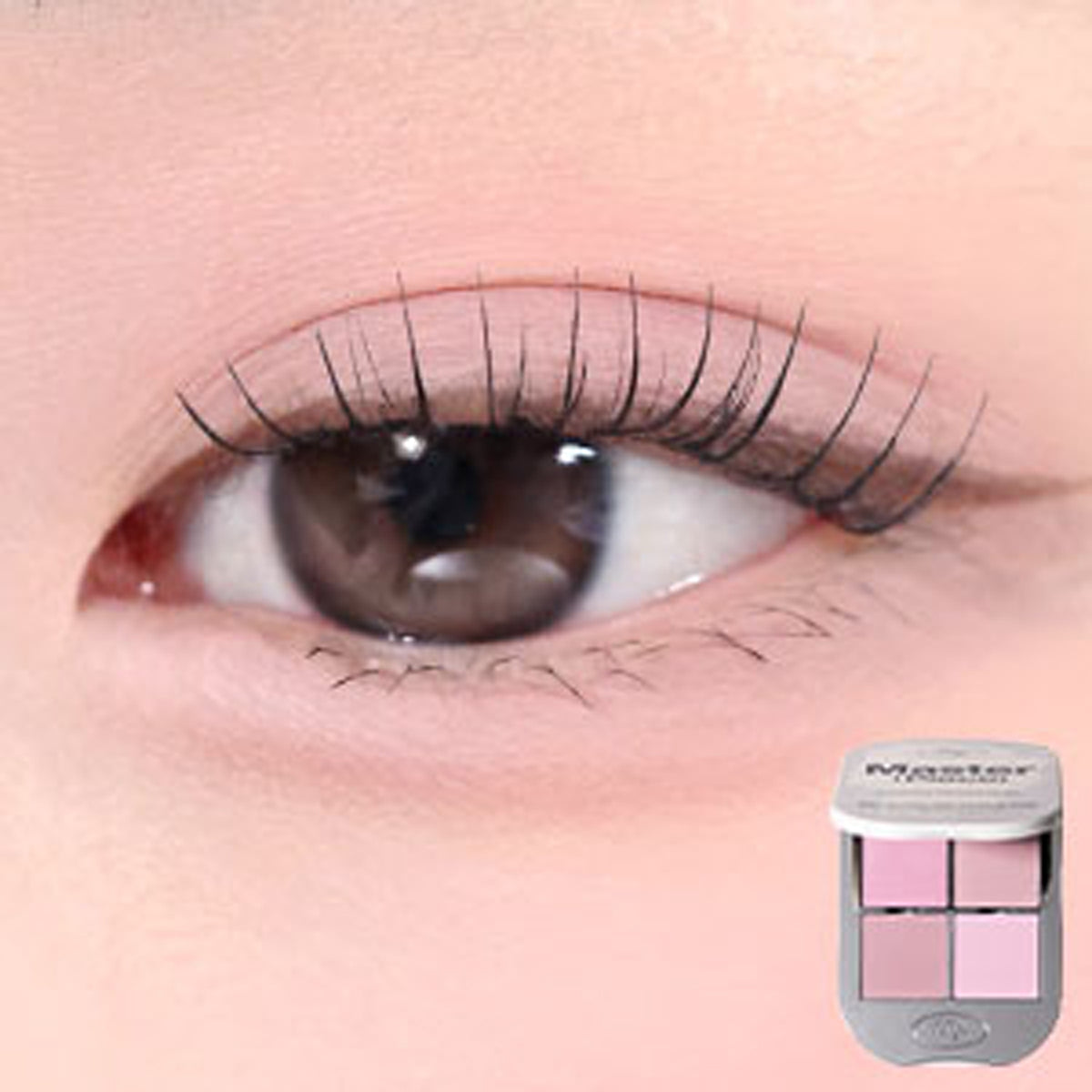 Tooq uno por la genuina paleta de sombras de ojos magnéticas 3 tipos