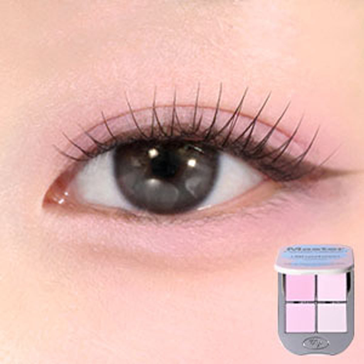 Tooq uno por la genuina paleta de sombras de ojos magnéticas 3 tipos