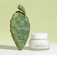 URANG Cactus Oasis Cream 50ml