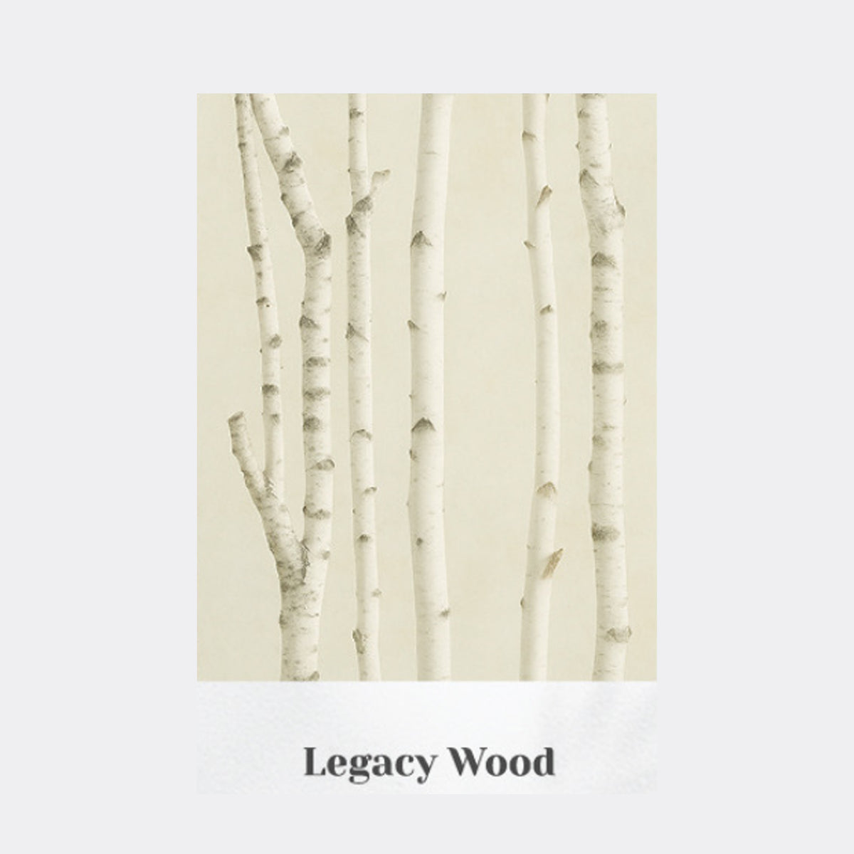 VINT NEW YORK Signature Perfume 30ml (Choose 1 of 9 Scents)