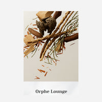 VINT NEW YORK Signature Perfume 30ml (Choose 1 of 9 Scents)