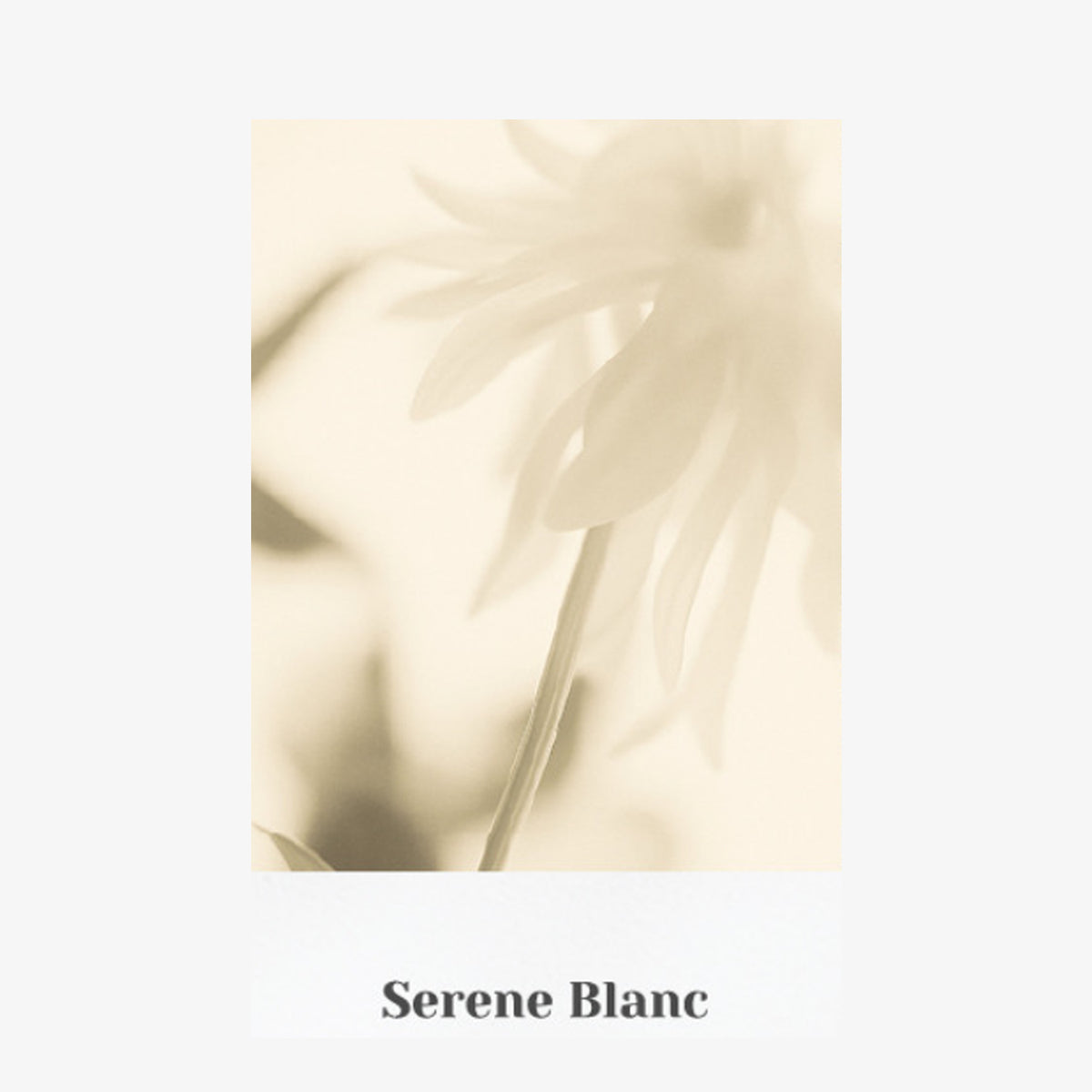 VINT NEW YORK Signature Perfume 30ml (Choose 1 of 9 Scents)