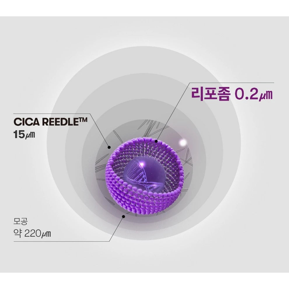 VT Cosmetics Reedle Shot Lifting Serum 30ml