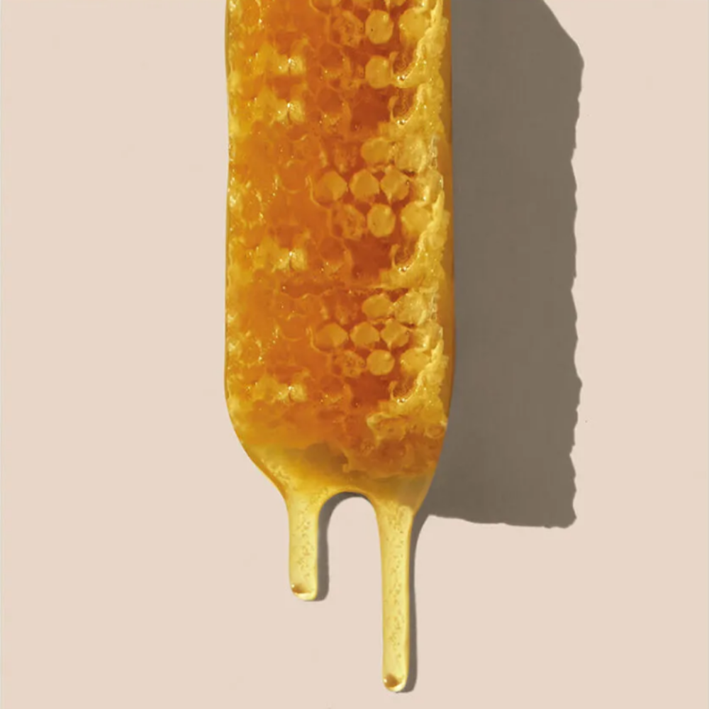 WORKERBEE Honey Gift Set: Mini Jars 30g (8 Packs)