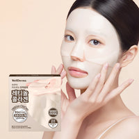 WellDerma Retinol Collagen Lifting Restore Fitting Mask Pack (4 Sheets)
