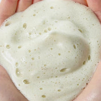 YUNJAC Whole Plant Daily Foam & Exfoliant Powder Wash 80ml