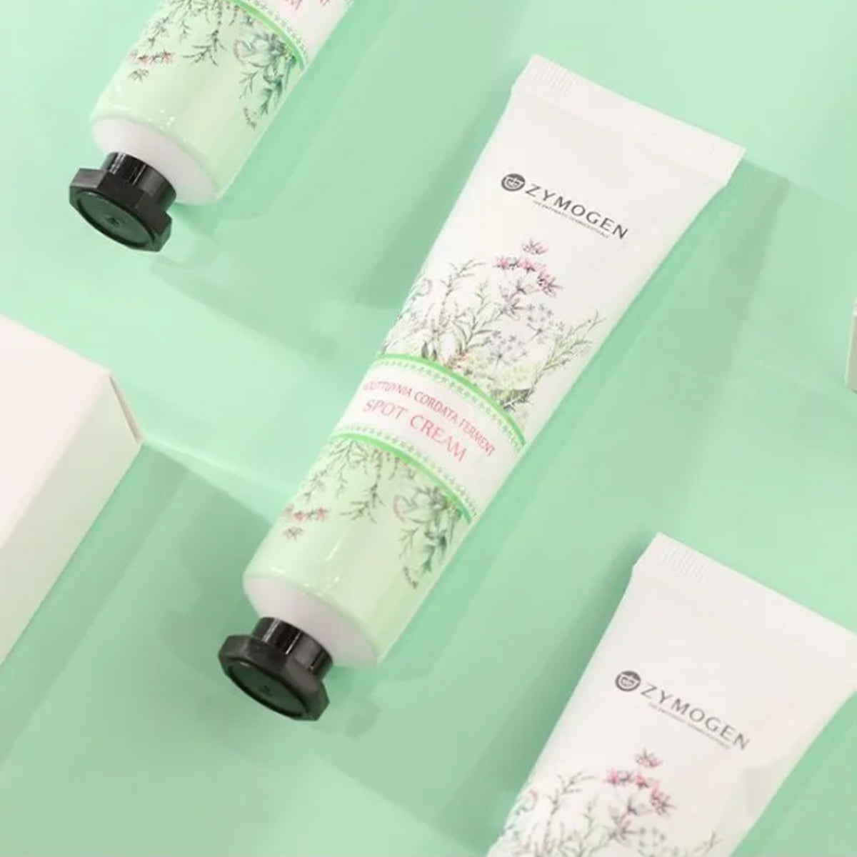 ZYMOGEN Houttuynia Cordata Ferment Spot Cream 30ml