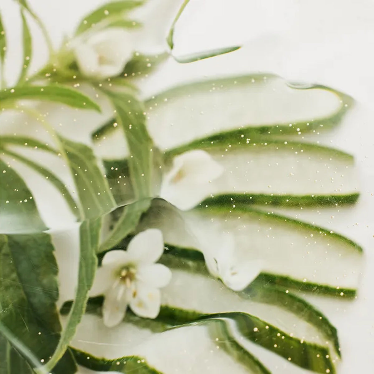 acheminee Pore Lifting Ampoule 50ml