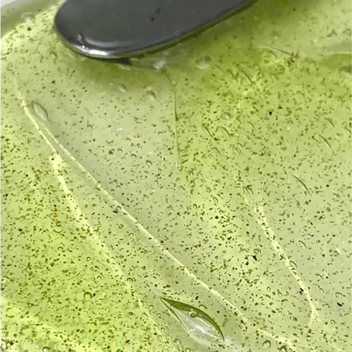 Anillo Lime Sunday Refresh Shampoo 450ml