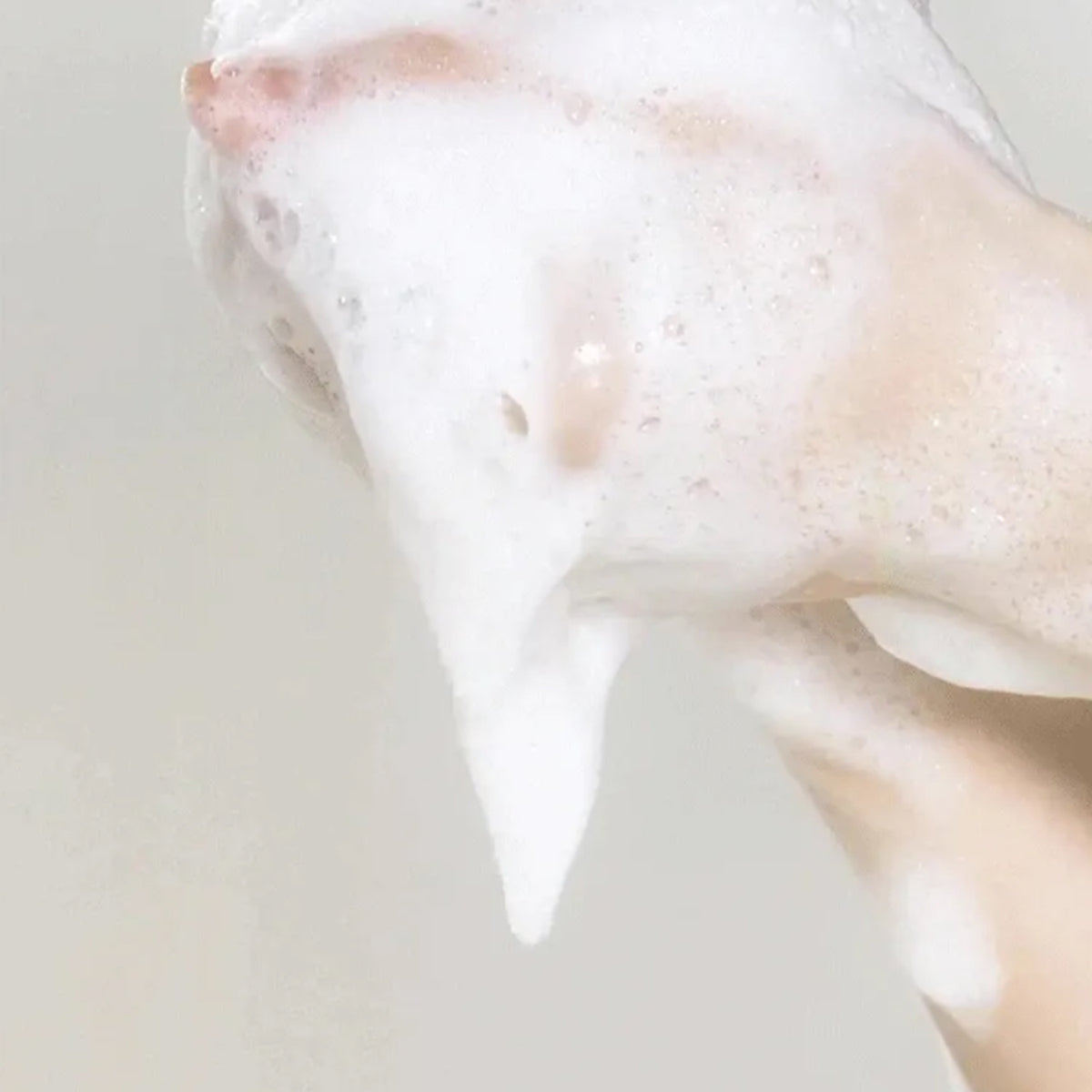 anillO Rosy Night Repair Shampoo 450ml