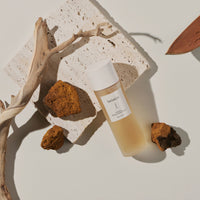 Beiskin Chaga Energy Booster Tóner 120G