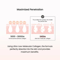 Biodance Pore Perfecting Collagen Peptide Cream 50ml