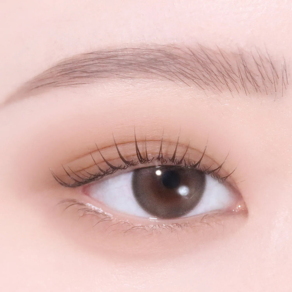 hince Single Eyeshadow 14 colors