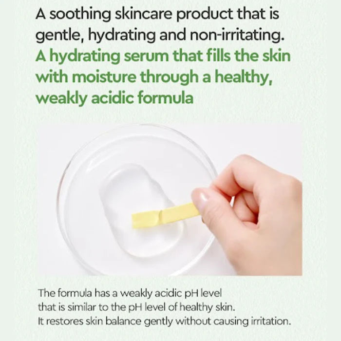 (Matthew) Dewytree Heartleaf 100 Serum 40ml - DODOSKIN