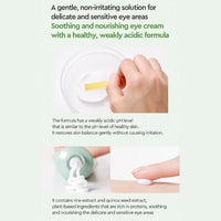 (Matthew) Dewytree Heartleaf 100 Eye Cream 35ml - DODOSKIN