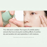 (Matthew) Dewytree Heartleaf 100 Serum 40ml - DODOSKIN