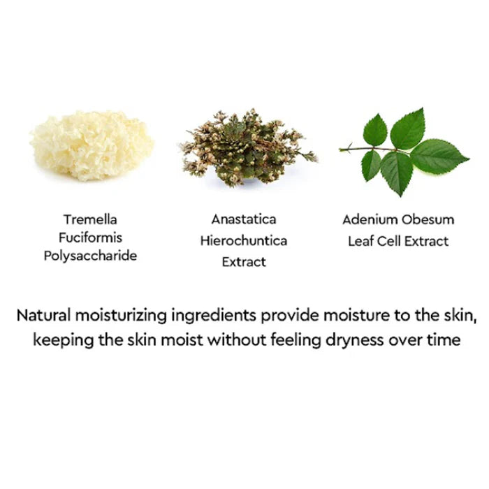 (Matthew) Dewytree Urban Shade Anti-Pollution Sunscreen SPF 50+ PA++++ 50ml - DODOSKIN