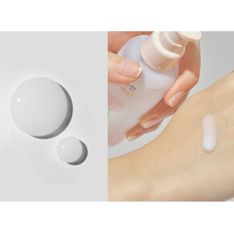 SWANICOCO The Soonhan Lotus Essence 100g - DODOSKIN