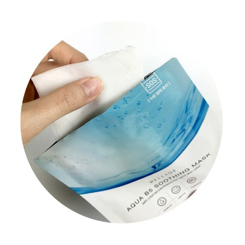 WELLAGE Aqua B5 Soothing Mask 23ml 10ea - DODOSKIN