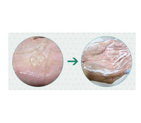 Holika Holika Aloe Facial Cleansing Foam 150ml 5.07 oz - Dodoskin