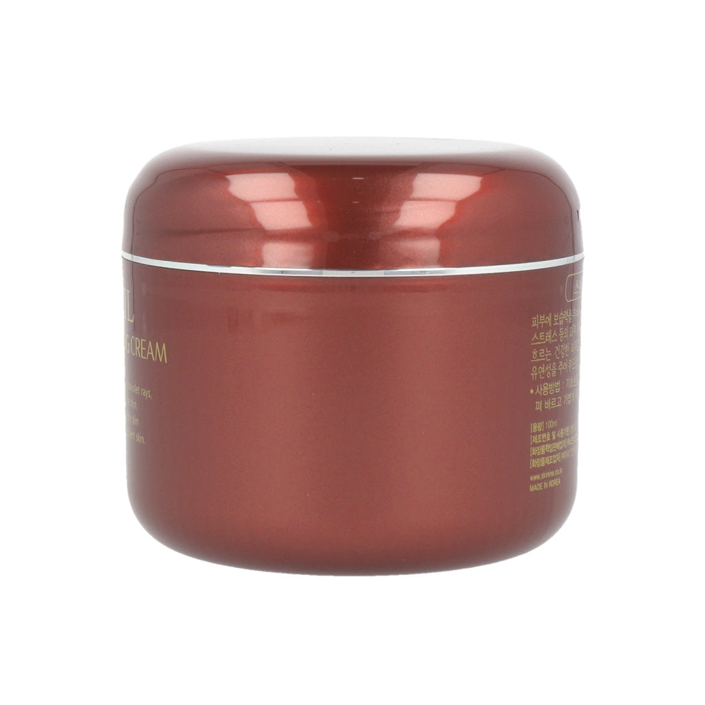 JIGOTT Snail Reparing Cream 100g - Dodoskin