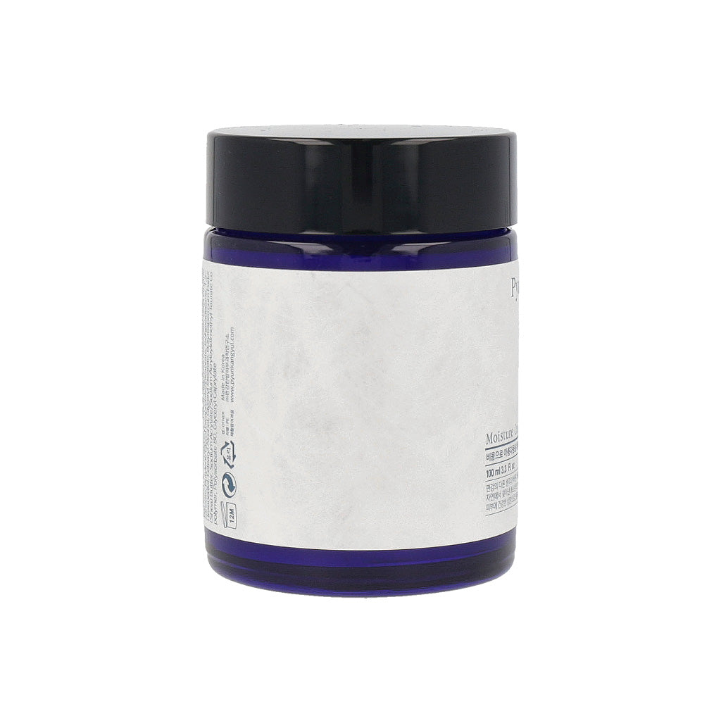 Pyunkang Yul Moisture Cream 100ml - Dodoskin