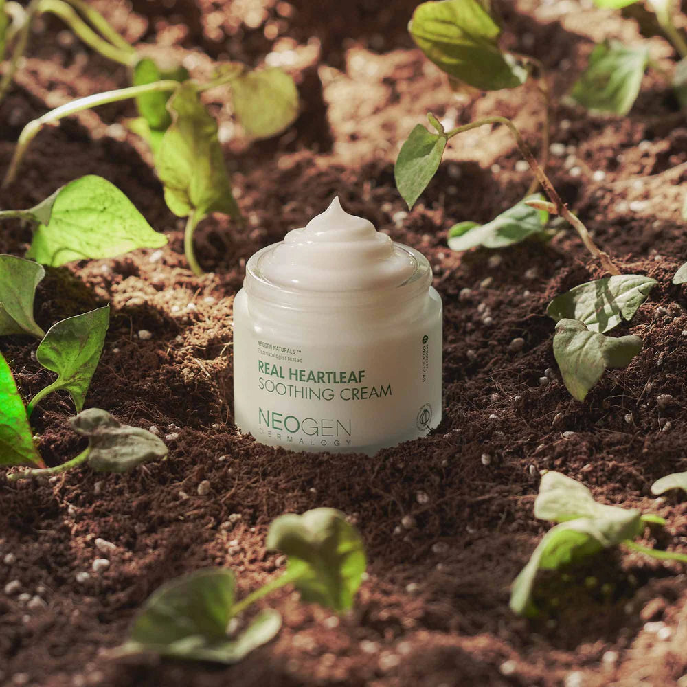 NEOGEN Real Heartleaf Soothing Cream 80g - DODOSKIN