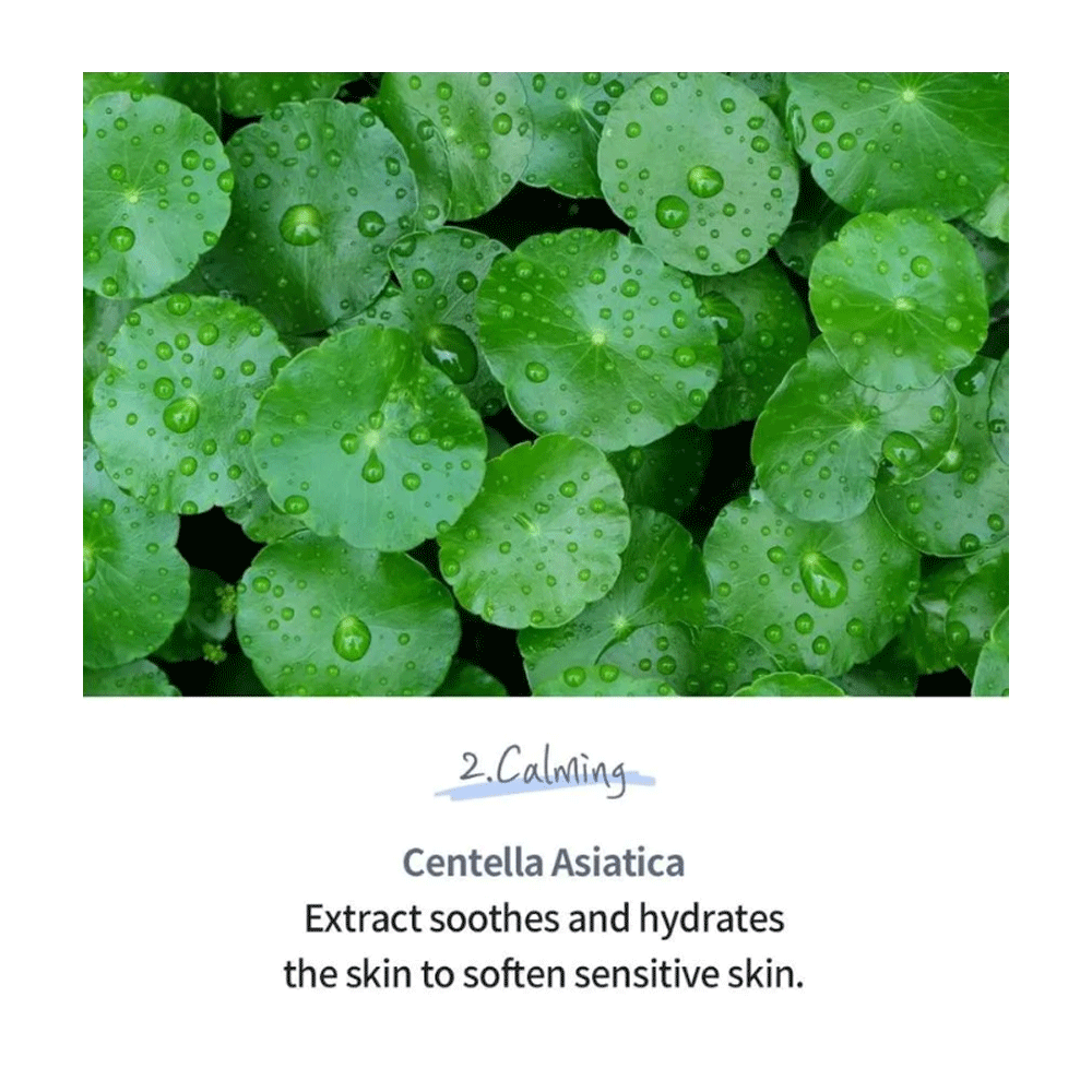 esfolio Hyaluronic Acid Houttuynia Cordata Ampoule 50ml - DODOSKIN