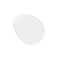 SKINFOOD Argan Oil Silk Plus Hair Essence 110ml - DODOSKIN