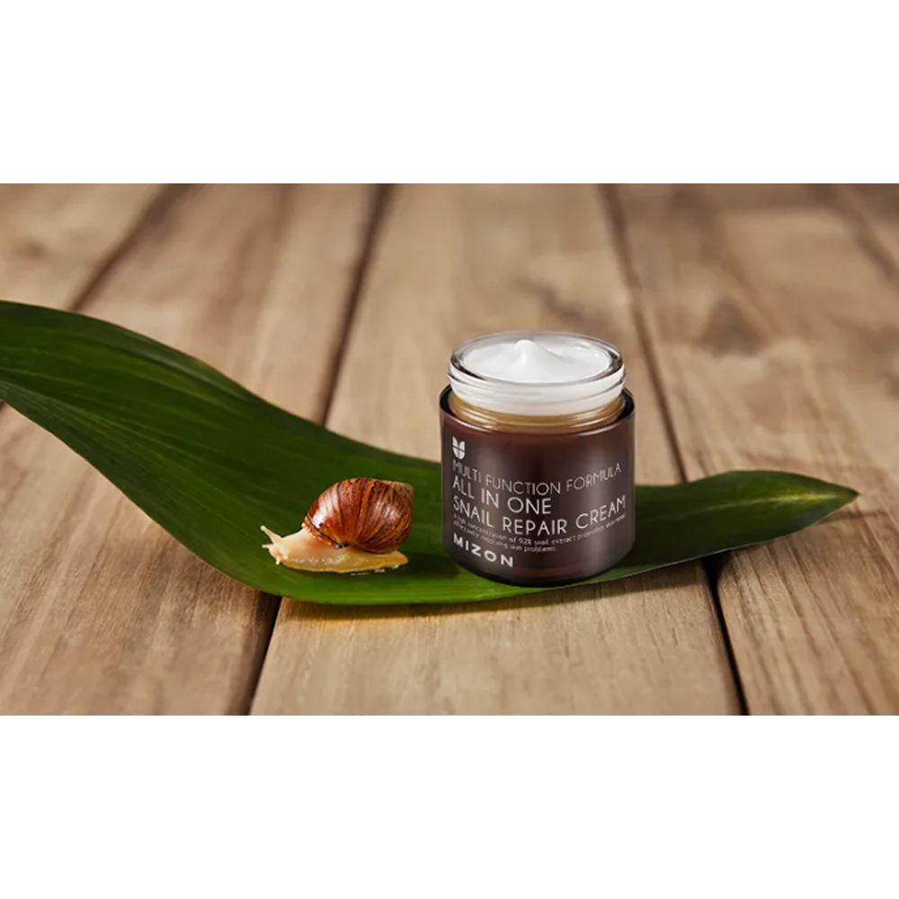 MIZON All In One Snail Repair Cream 75ml - DODOSKIN