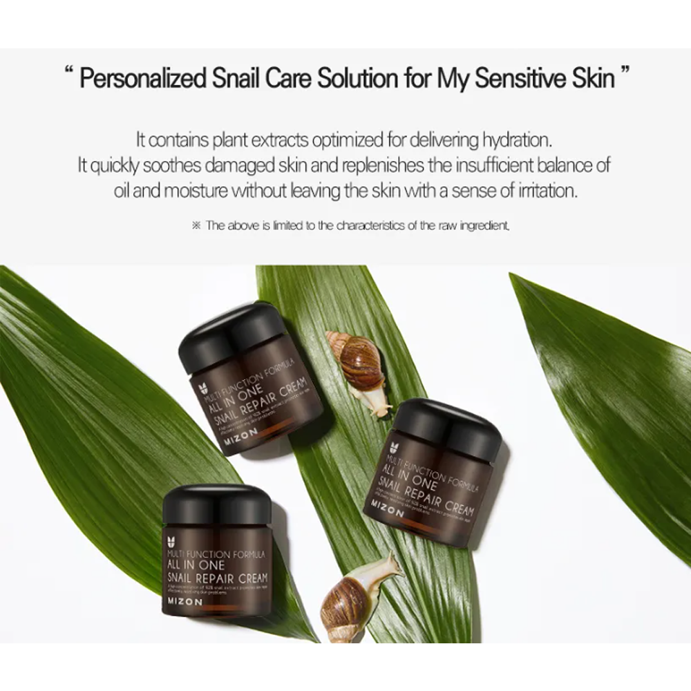 MIZON All In One Snail Repair Cream 75ml - DODOSKIN