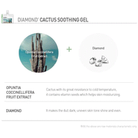 Daymellow Diamond Cactus Soothing Gel 300g - DODOSKIN