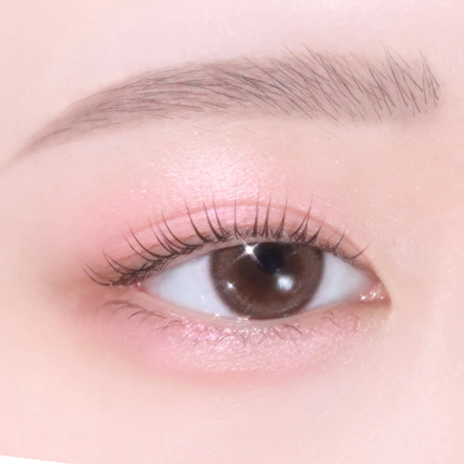 04 Tearful Rose [Shimmer]