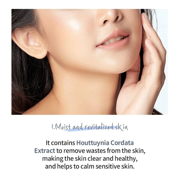 esfolio Hyaluronic Acid Houttuynia Cordata Cream 50g - DODOSKIN