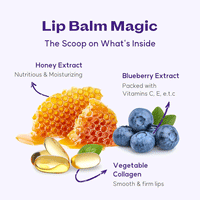 FRUDIA Blueberry Hydrating Honey Lip Balm 10g - DODOSKIN