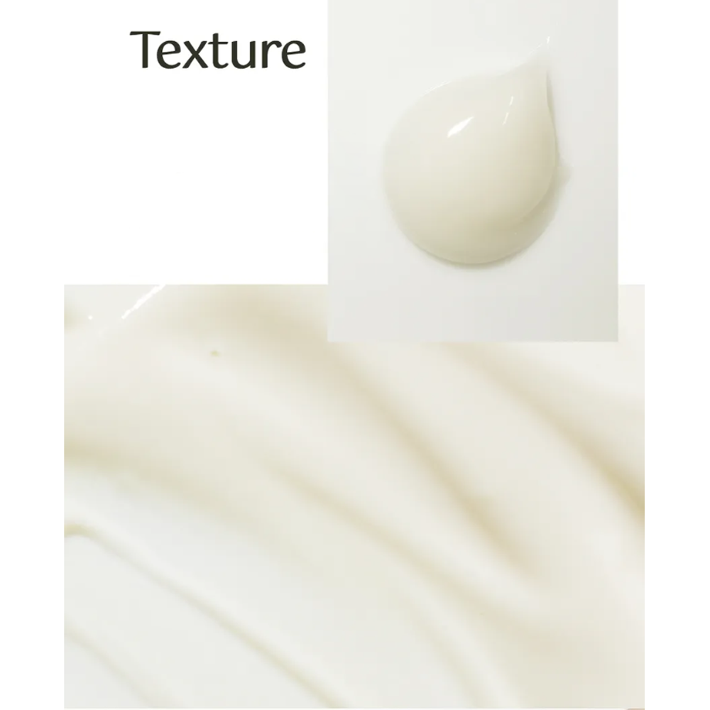 Isa Knox UV Sun Pro Sun Fluid SPF 50+ PA++++ 70ml - DODOSKIN