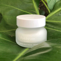 (NEWA) Muldream All Green Mild Facial Cream 60g - DODOSKIN