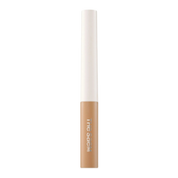 THE SAEM Cover Perfection Brow Concealer 4g