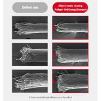 Dr.FORHAIR Folligen Cell-Energy Shampoo 500mL - DODOSKIN