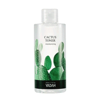 (NEWA) YADAH Cactus Toner 210ml - DODOSKIN