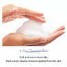 esfolio Hyaluronic Acid Houttuynia Cordata Cleansing Foam 100ml - DODOSKIN