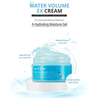 MIZON Water Volume EX Cream 230ml - DODOSKIN