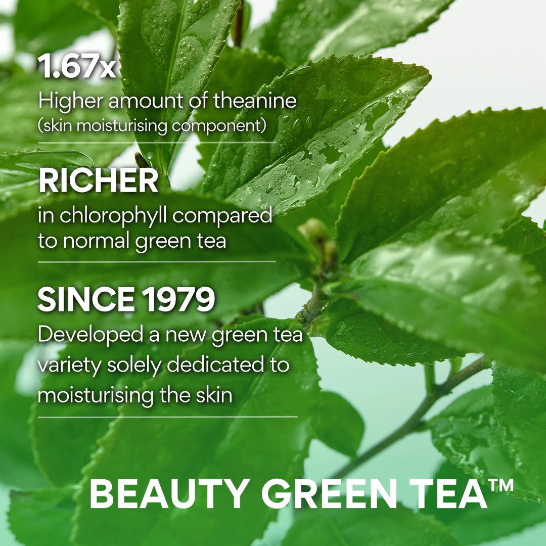 (Mhark) Innisfree Green Tea Amino Hydrating Cleansing Foam 150g - DODOSKIN