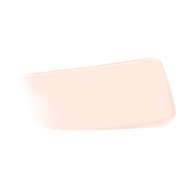 JUNG SAEM MOOL Pro-lasting Flawless Fit Mesh Cushion SPF50+ PA++++14g 6 colors