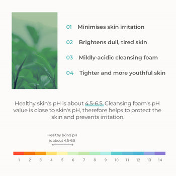 Heynature Erseongcho pH-Balancing Cleansing Foam 120ml - DODOSKIN