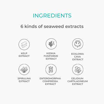 Heynature Erseongcho pH-Balancing Cleansing Foam 120ml - DODOSKIN