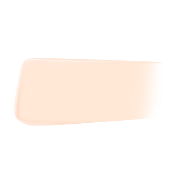 JUNG SAEM MOOL Pro-lasting Flawless Fit Mesh Cushion SPF50+ PA++++14g 6 colors