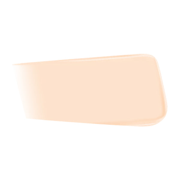 JUNG SAEM MOOL Pro-lasting Flawless Fit Mesh Cushion SPF50+ PA++++14g 6 colors