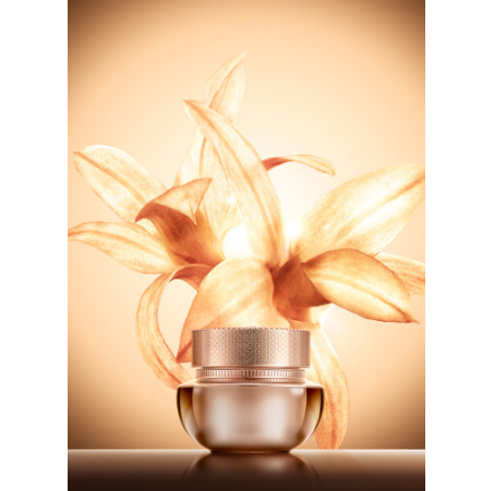 The history of whoo Cheonyuldan Hwayul Mask 75ml - DODOSKIN