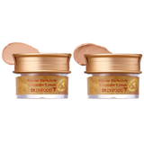 SKINFOOD Salmon Dark Circle Concealer Cream 10g - 2 Colors